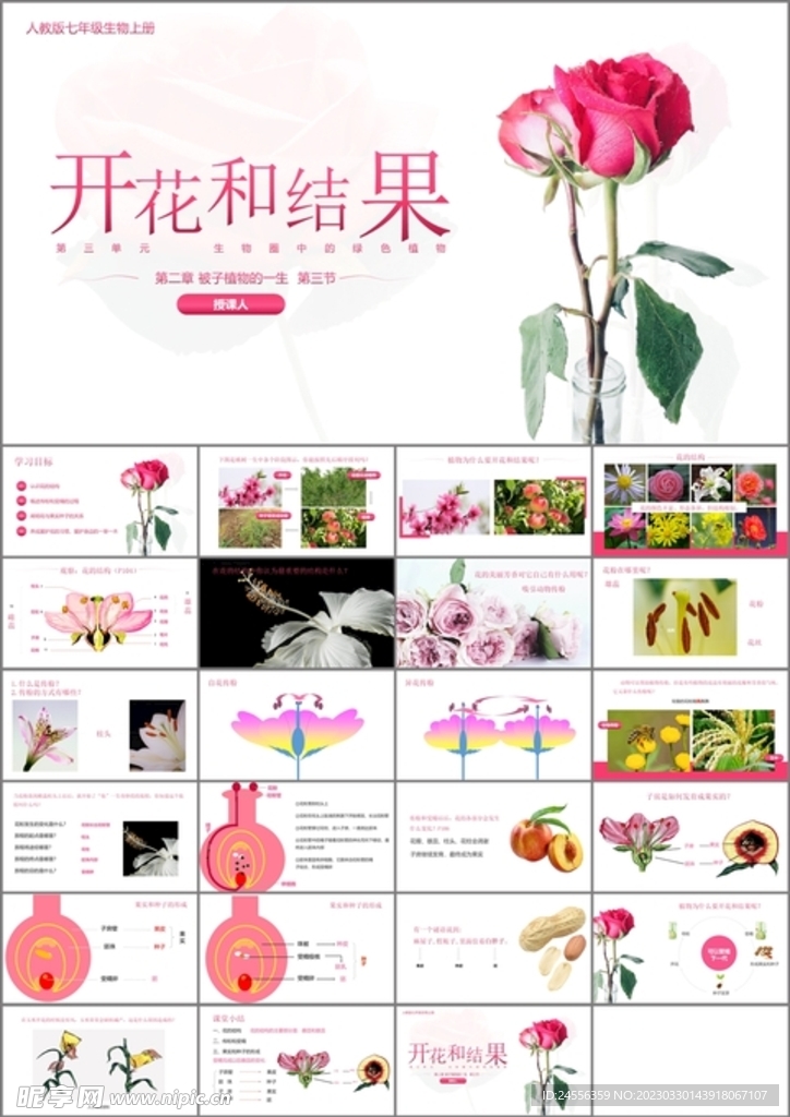开花和结果