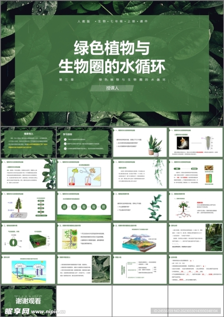 绿色植物与生物圈的水循环