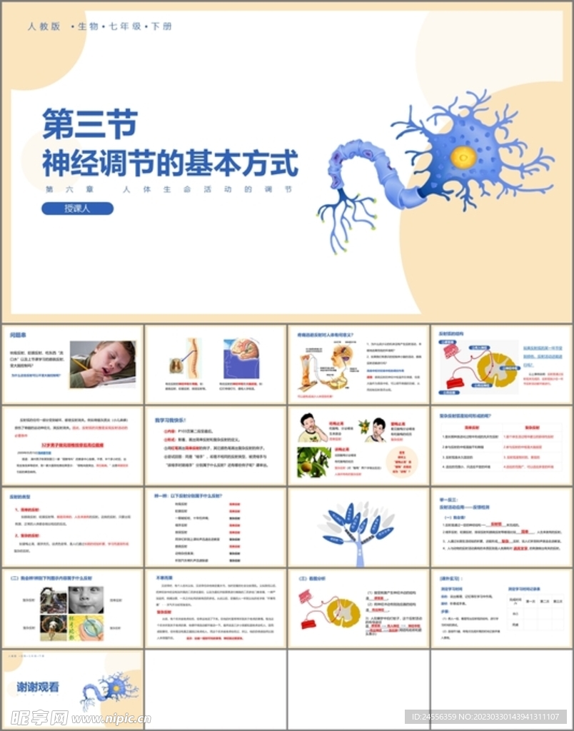 神经调节的基本方式