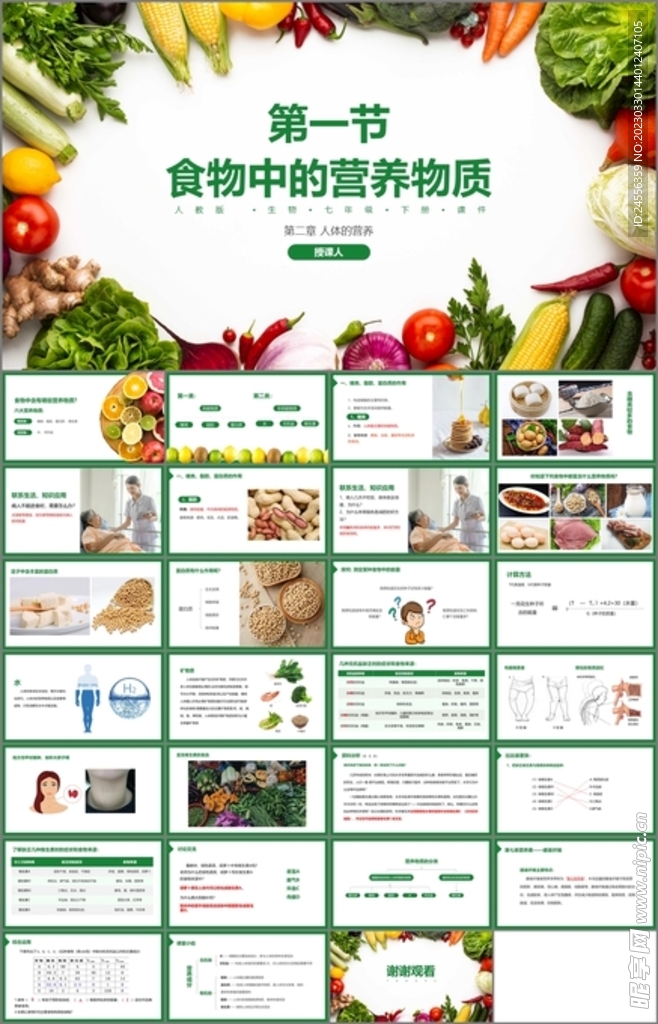食物中的营养物质
