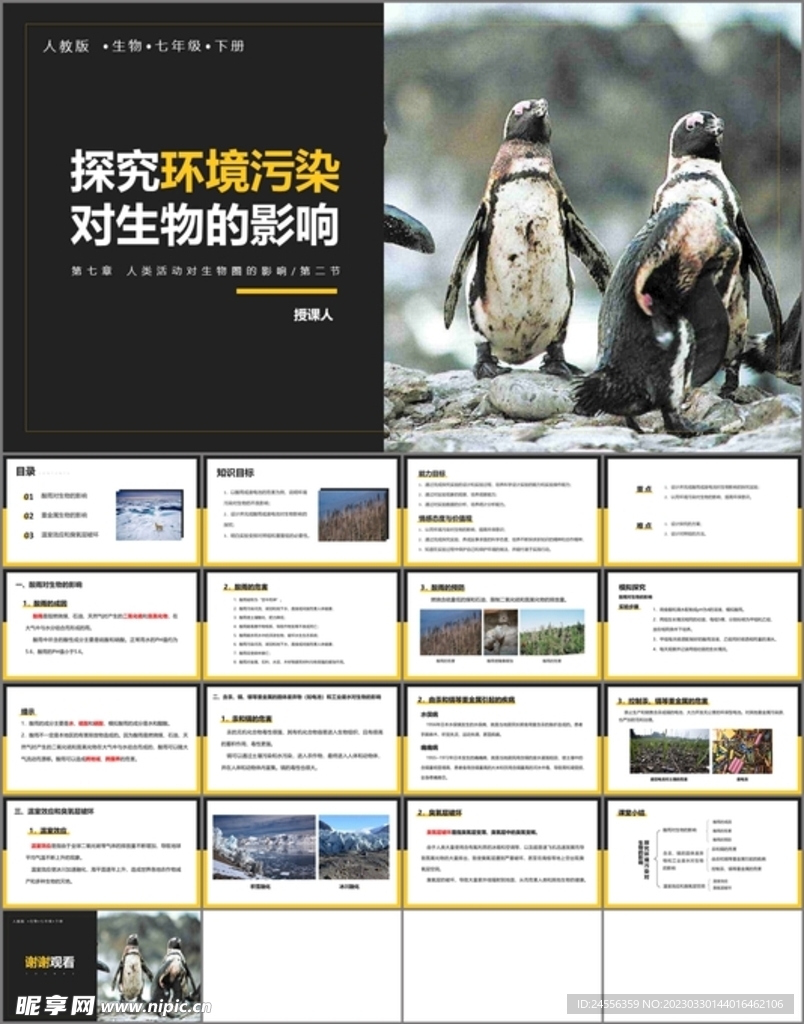 探究环境污染对生物的影响