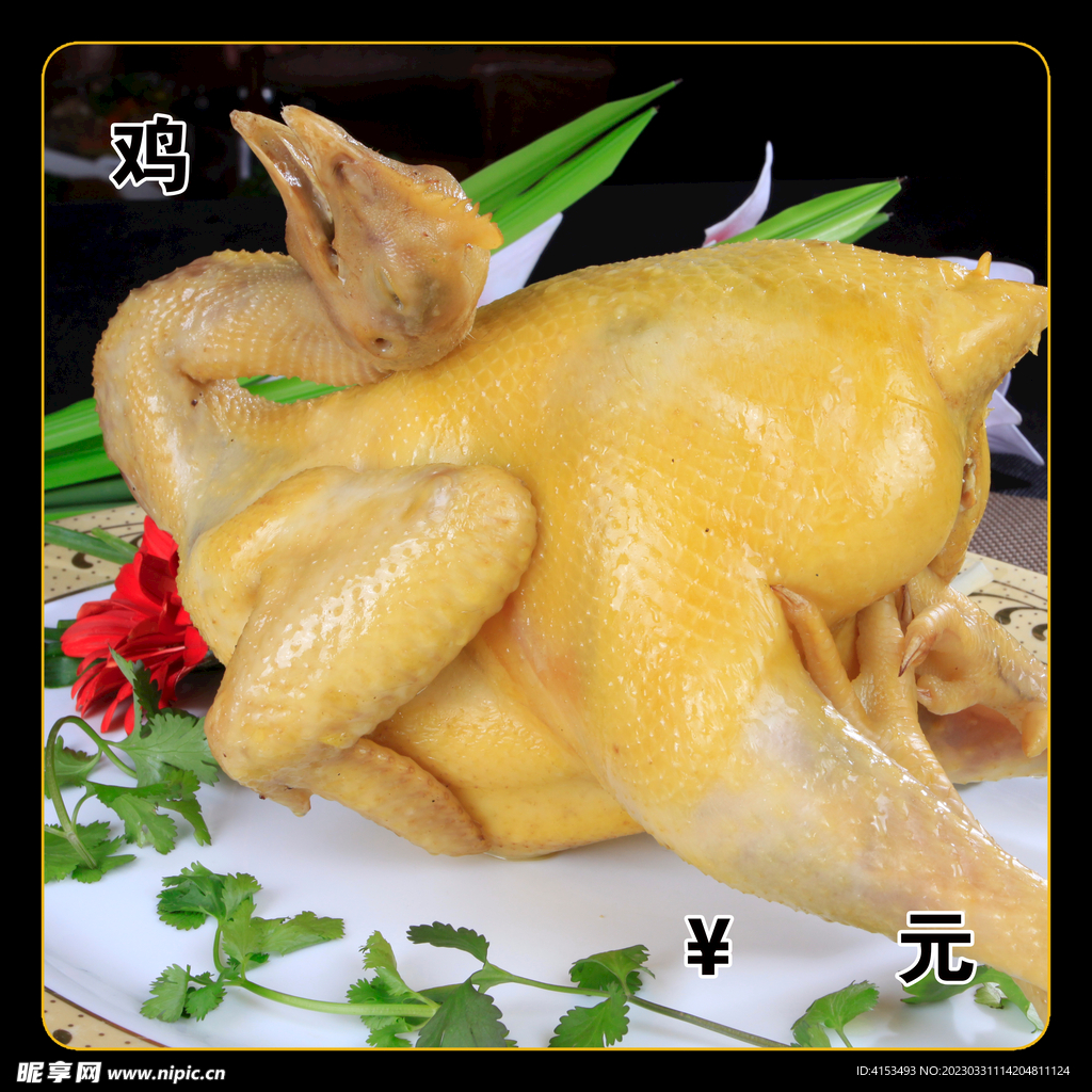 鸡