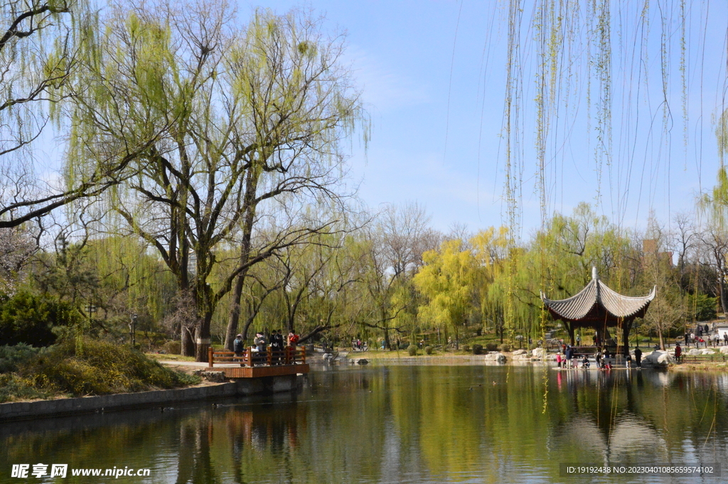 公园风景  