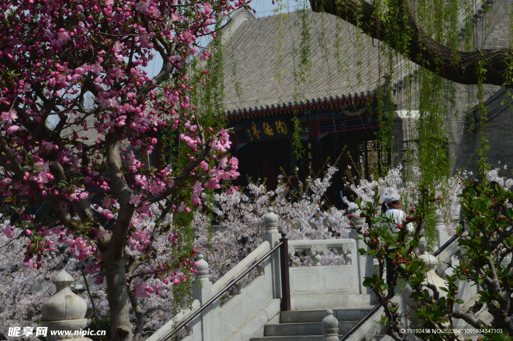 公园风景 