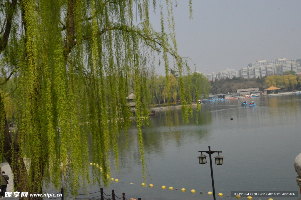 公园风景 