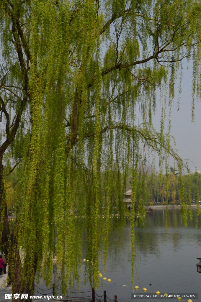 公园风景 