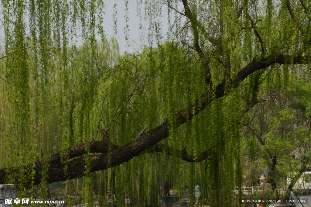 公园风景 