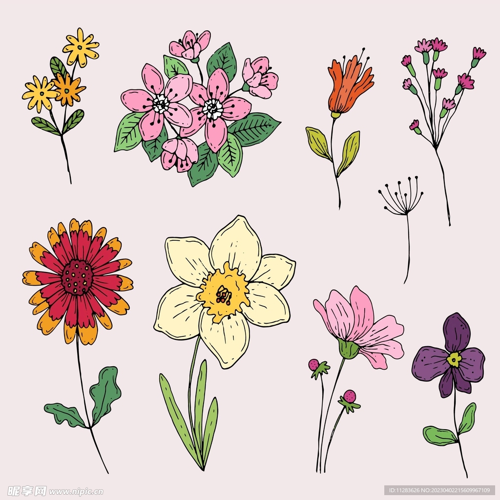 手绘花朵素材