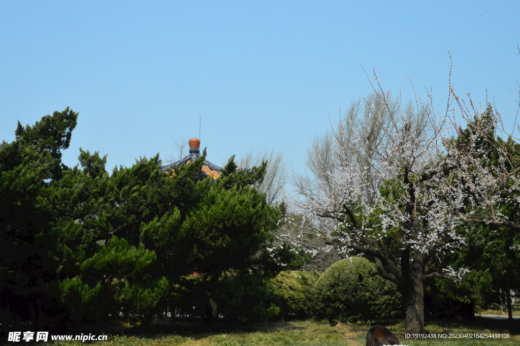 公园风景 