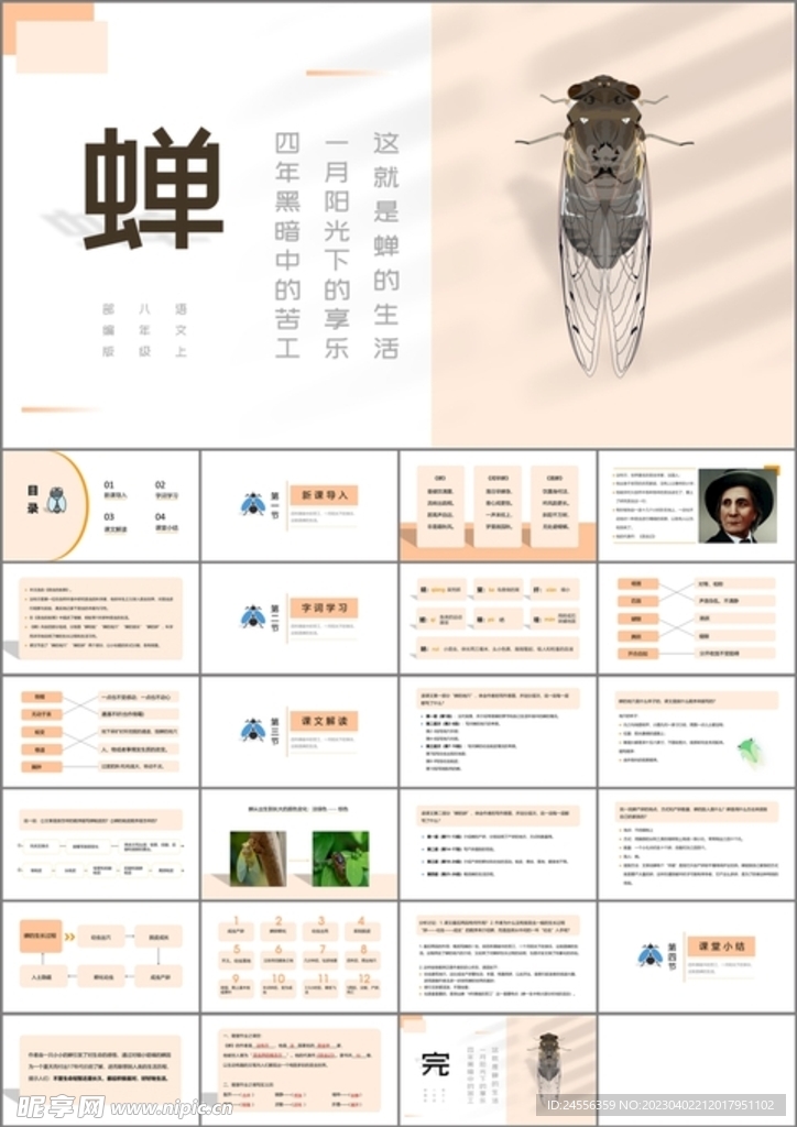 蝉