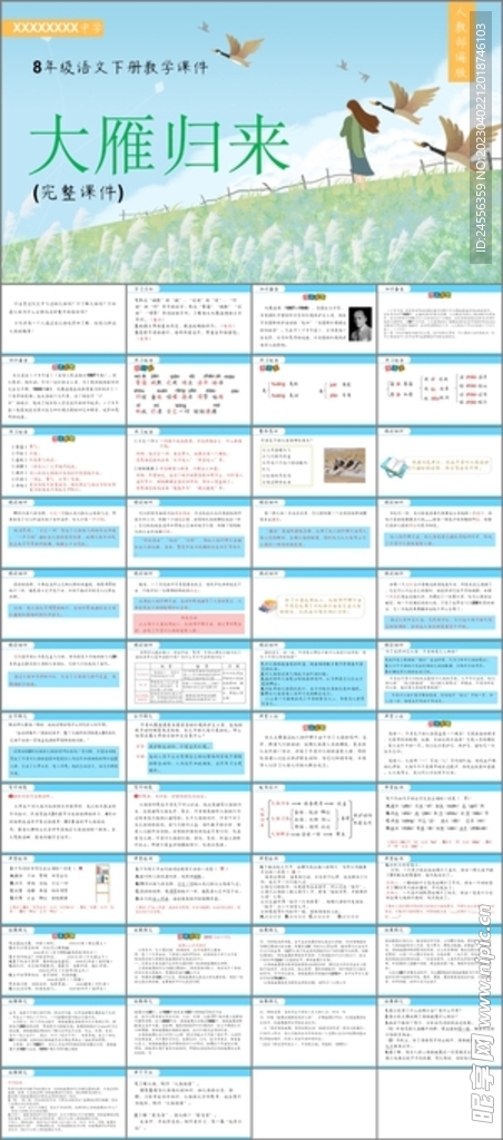大雁归来