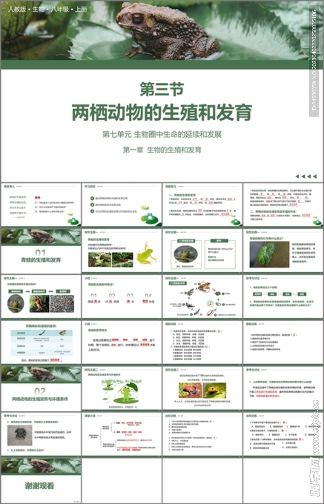两栖动物的生殖和发育