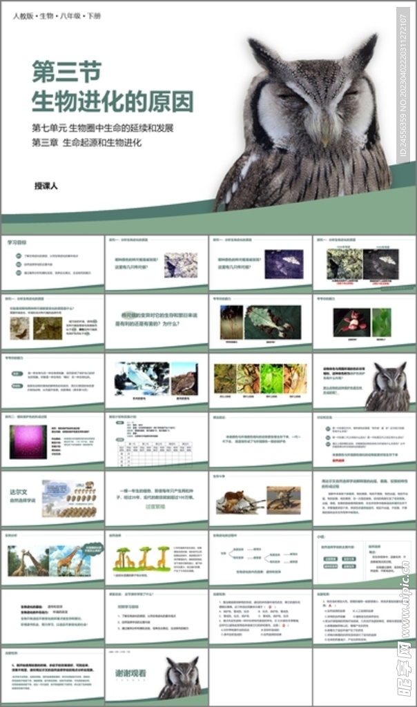 生物进化的原因