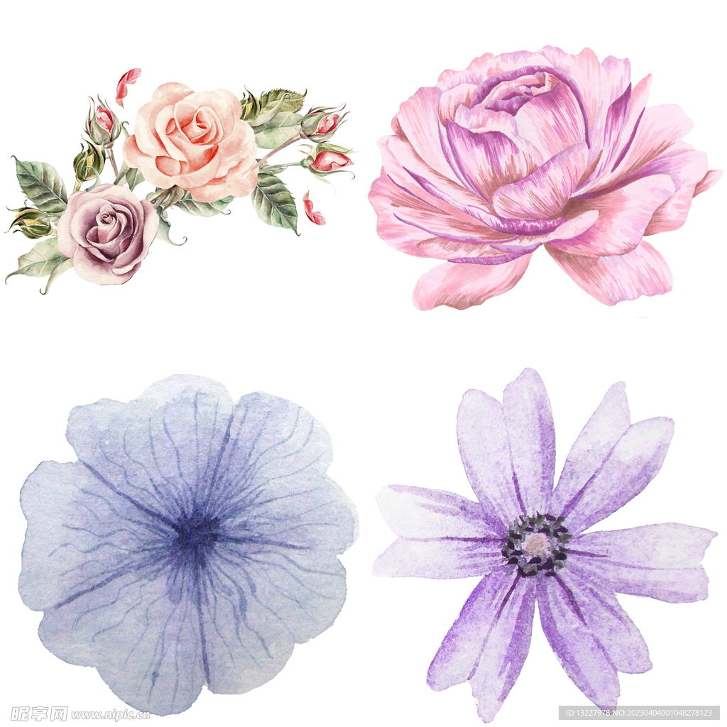 手绘花卉