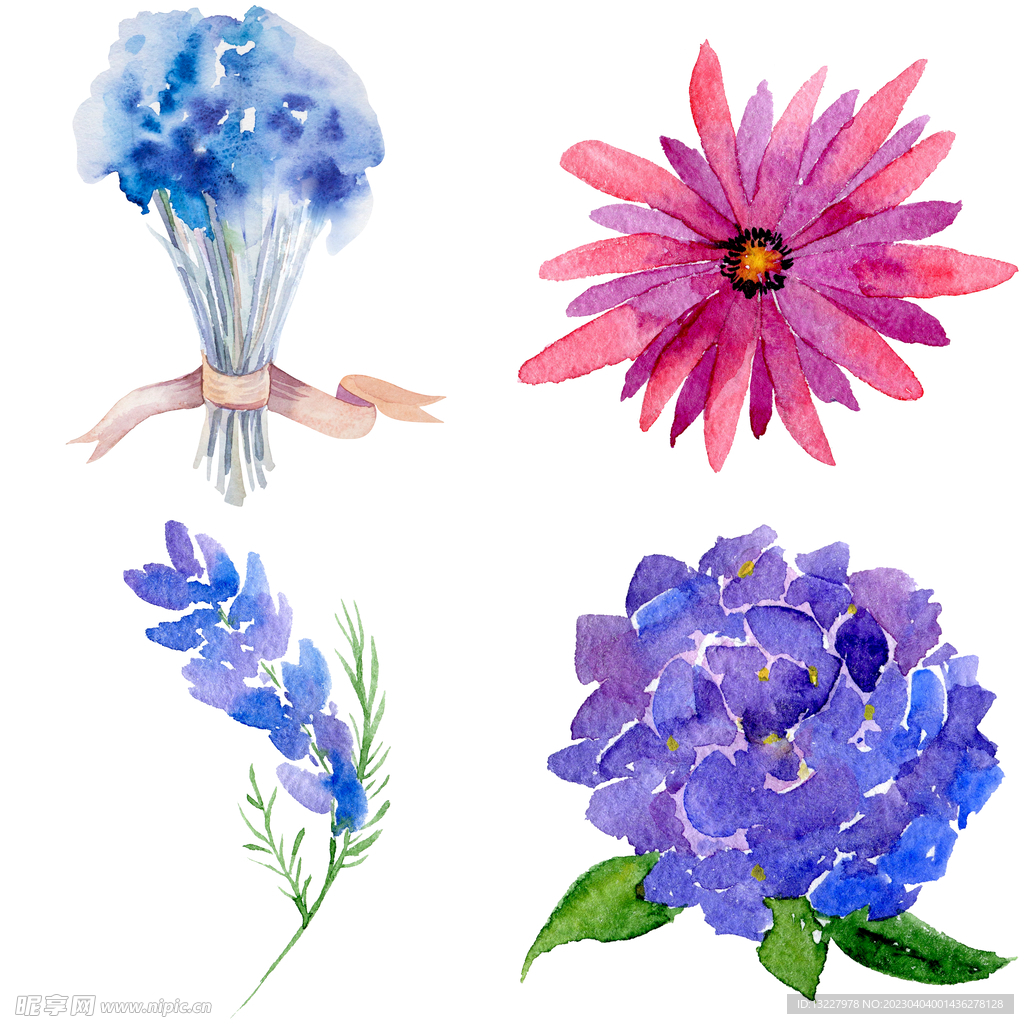 手绘花卉 