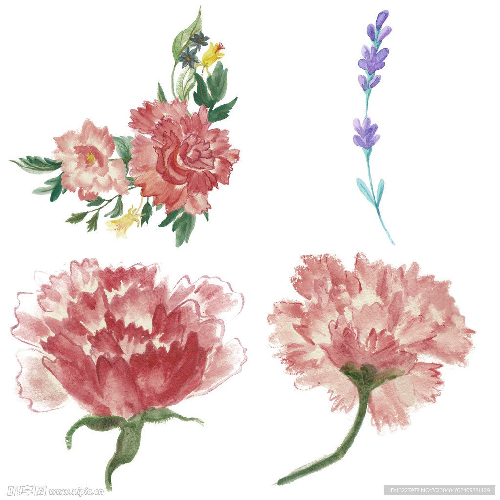 手绘花卉 