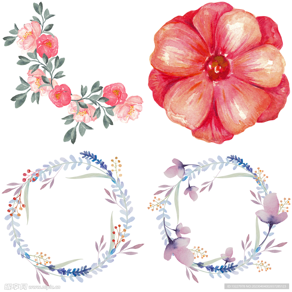 手绘花卉 
