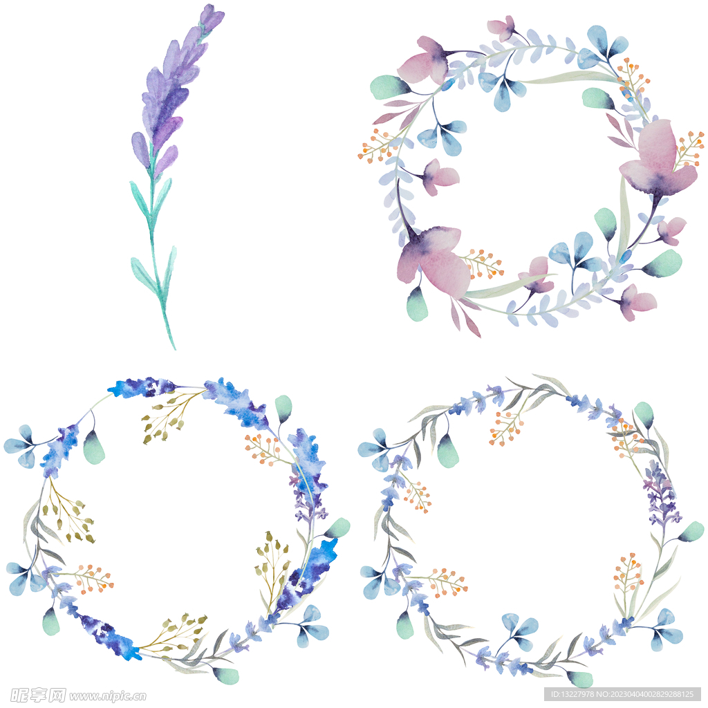 手绘花卉