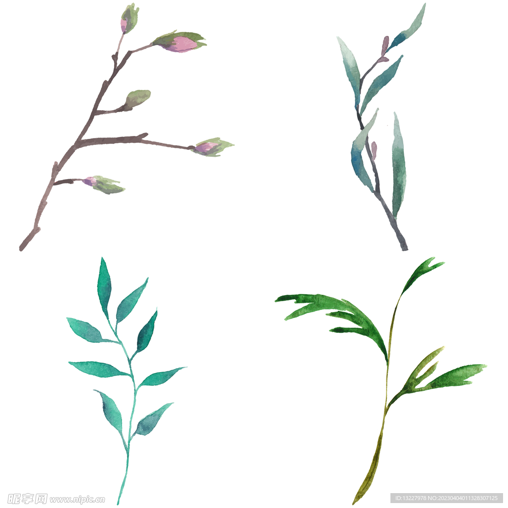 手绘叶子藤蔓  