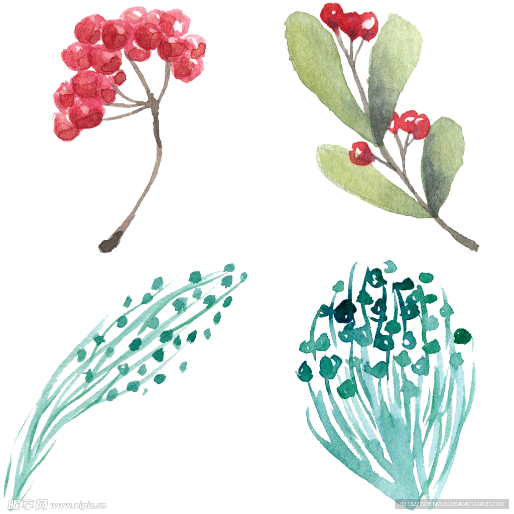 手绘浆果 