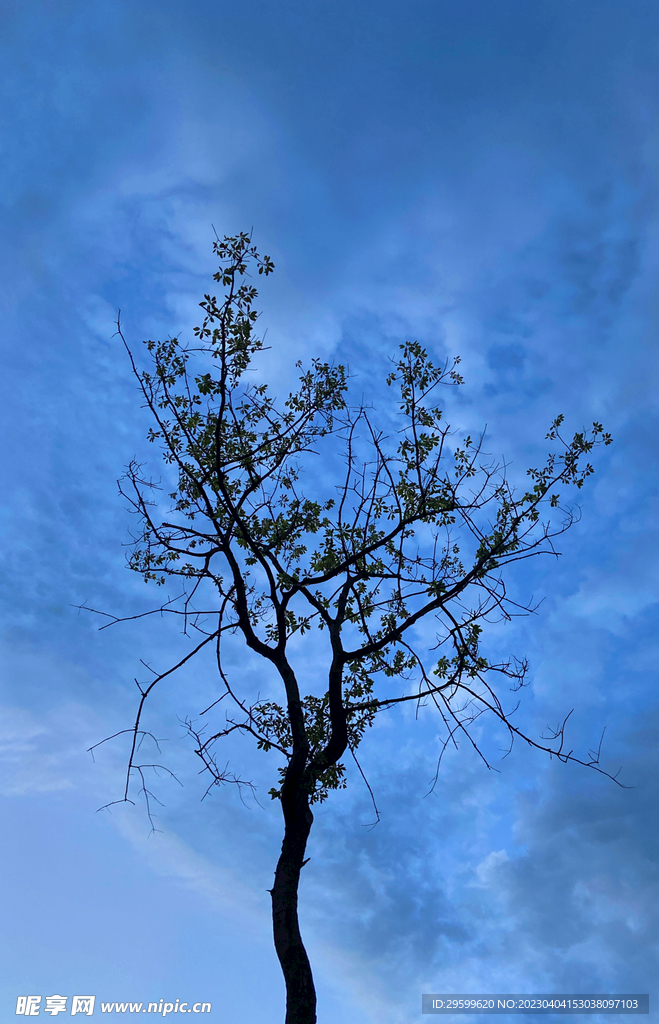 天空