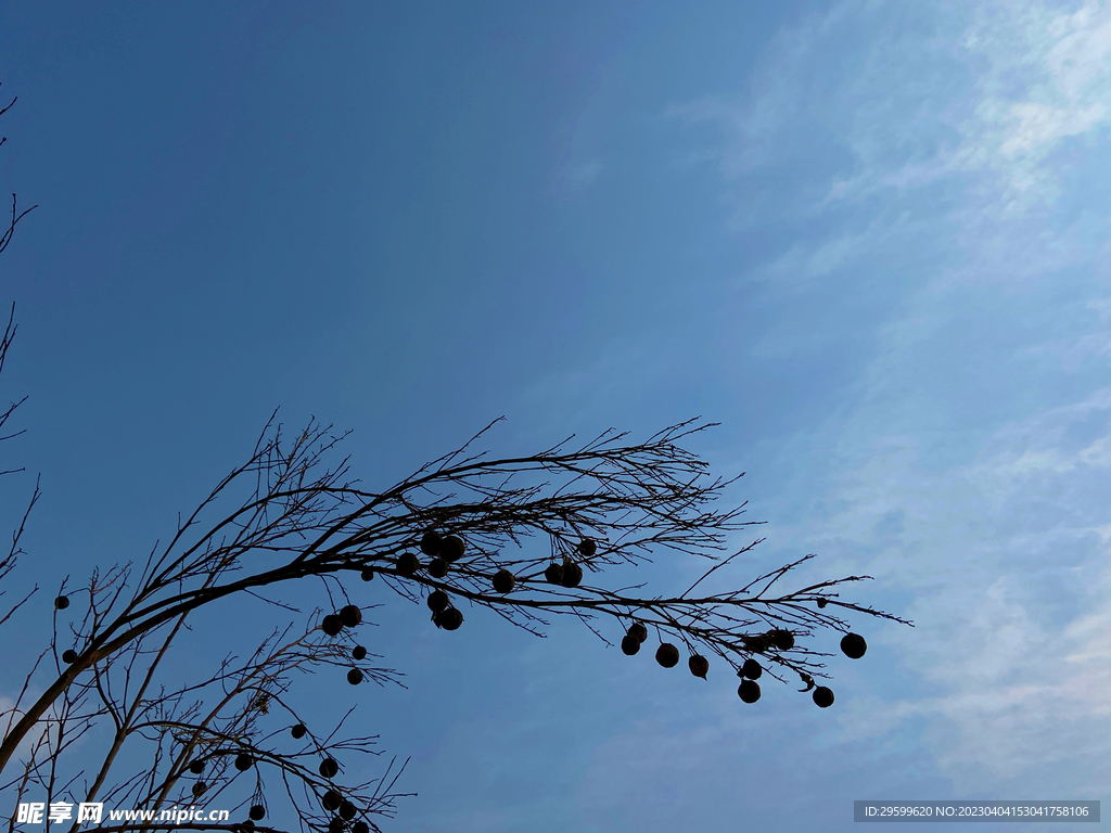 天空