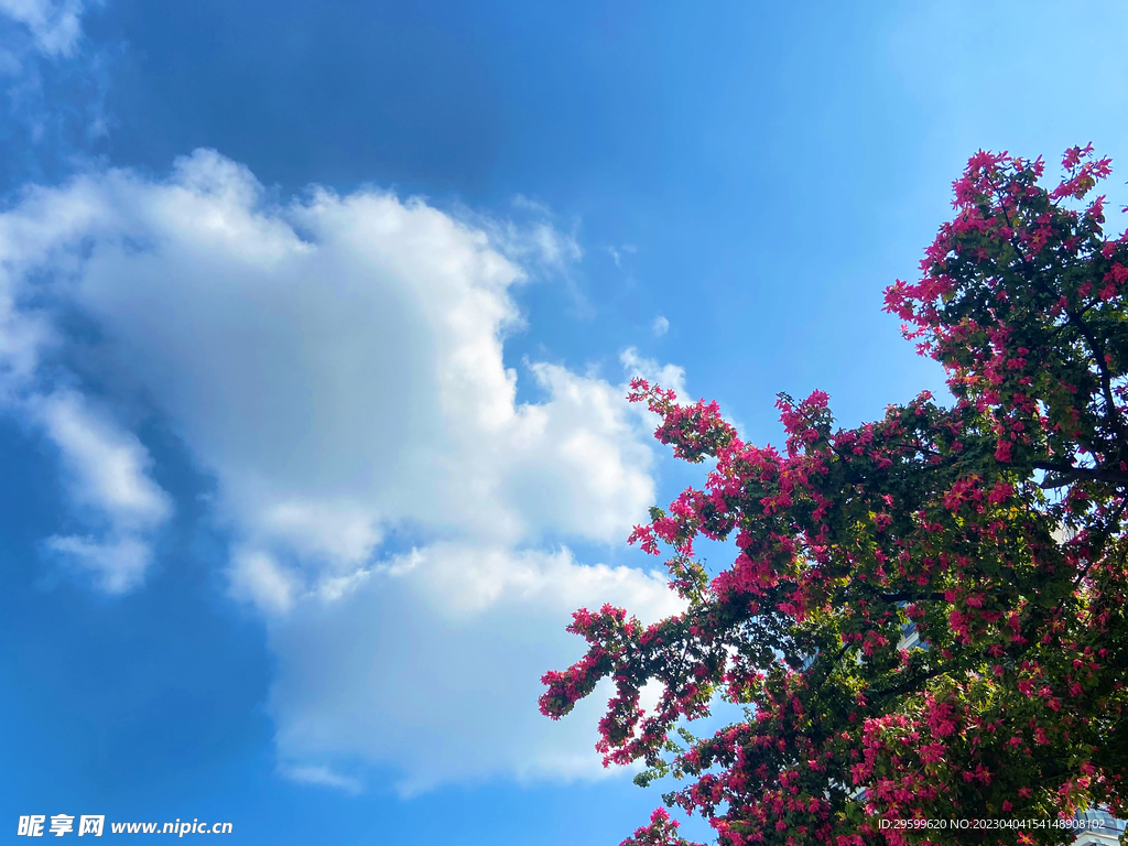 天空