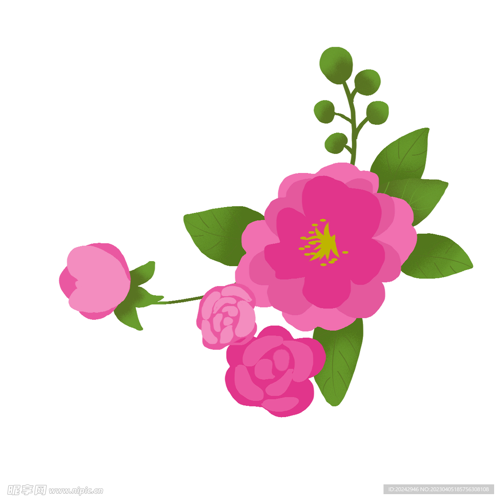 粉色花