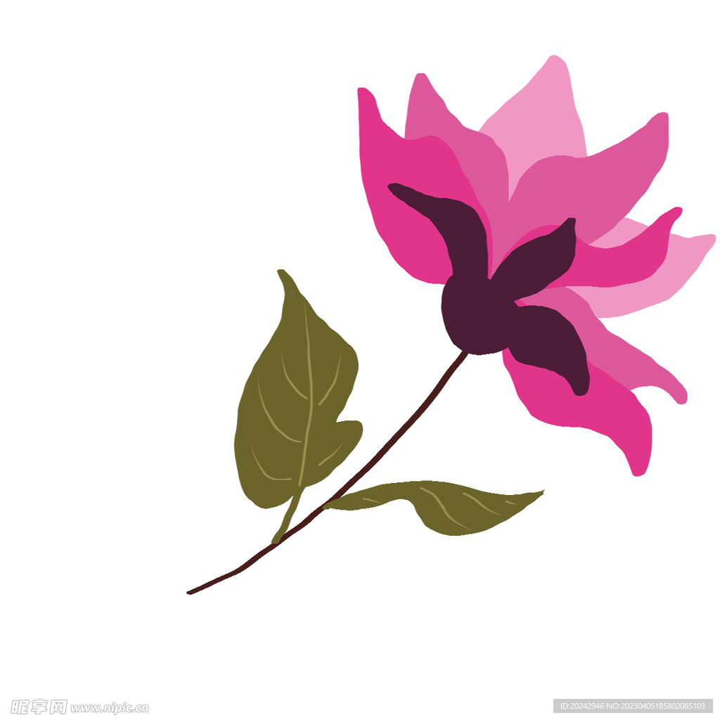 玉兰花 