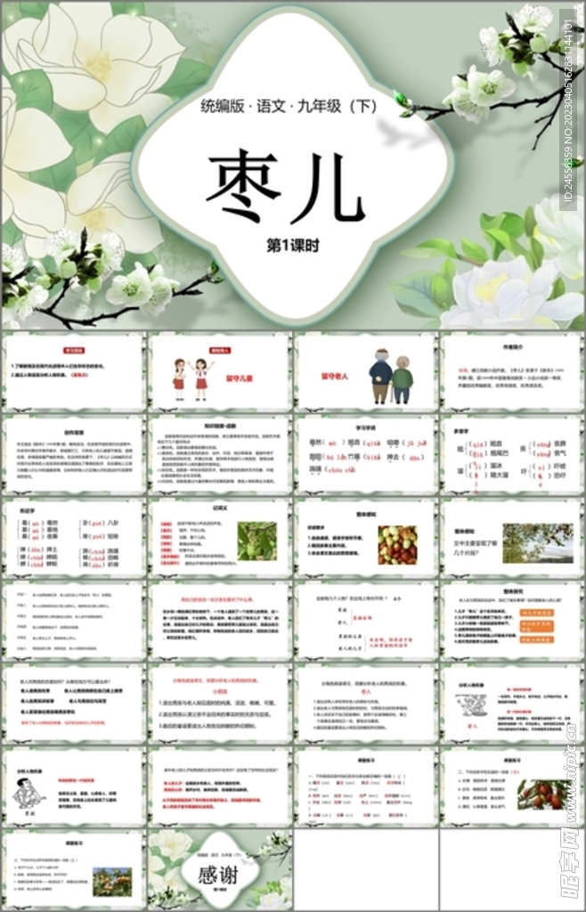 枣儿