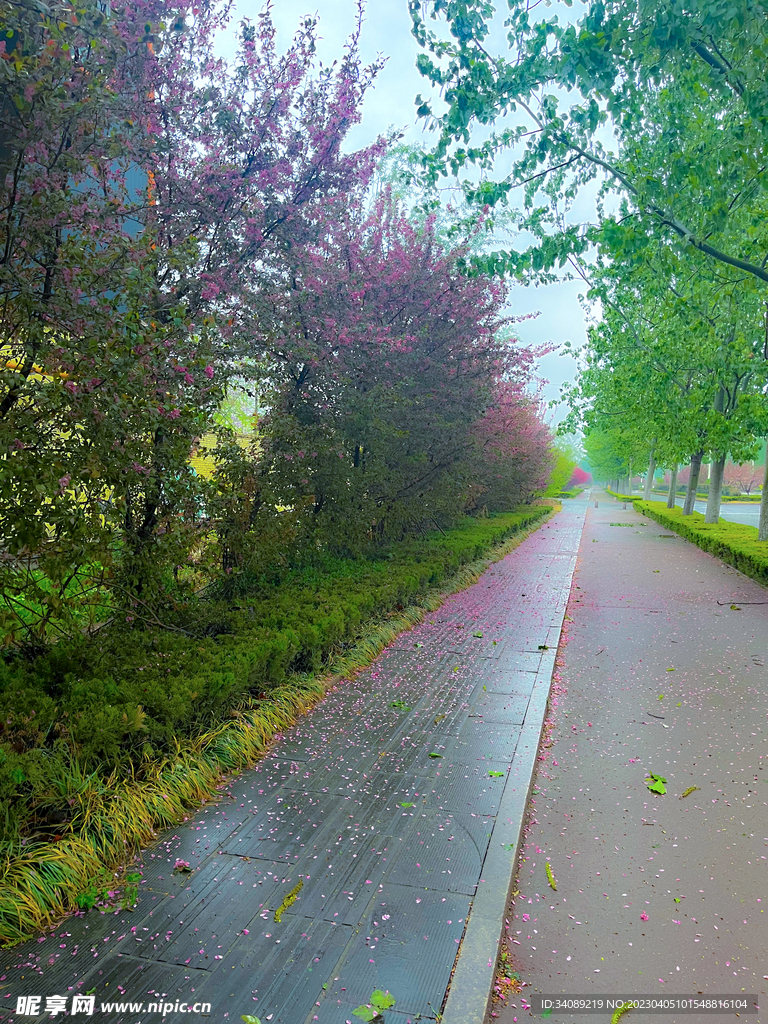 人间四月天 清明时节