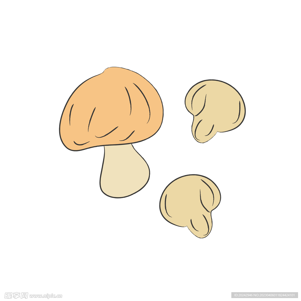 平菇
