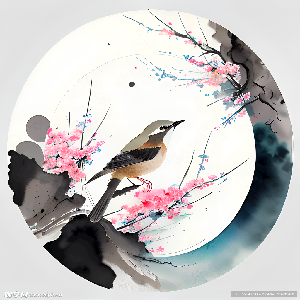 花鸟插画