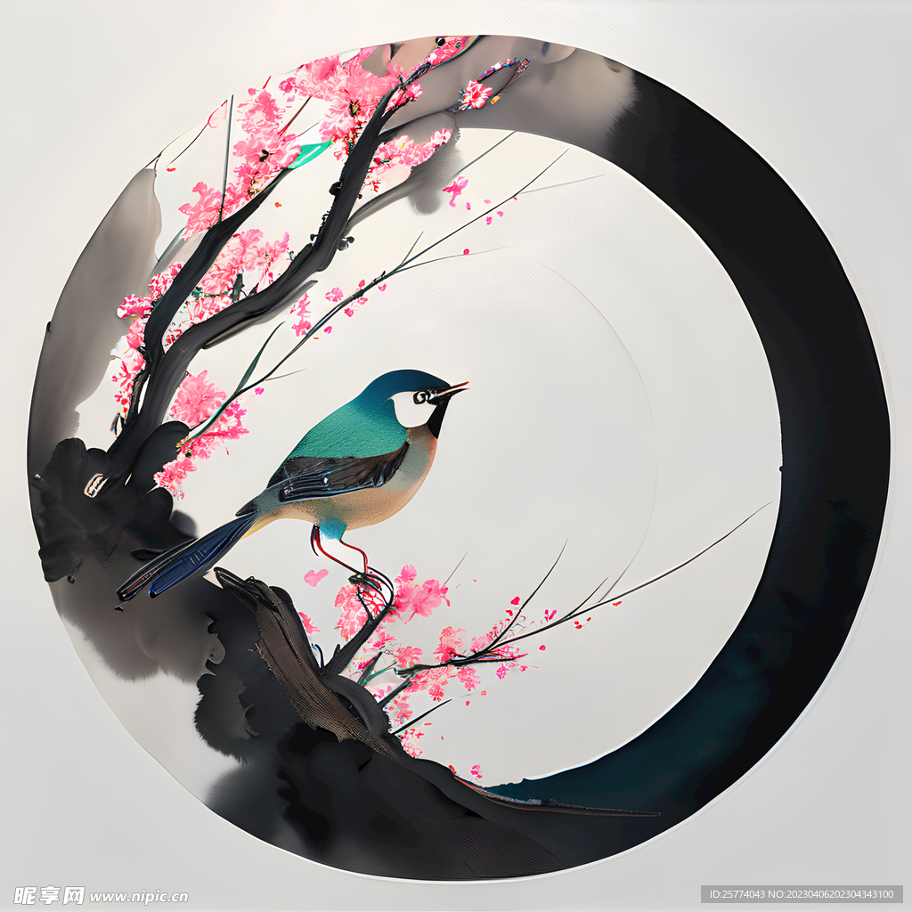 花鸟插画