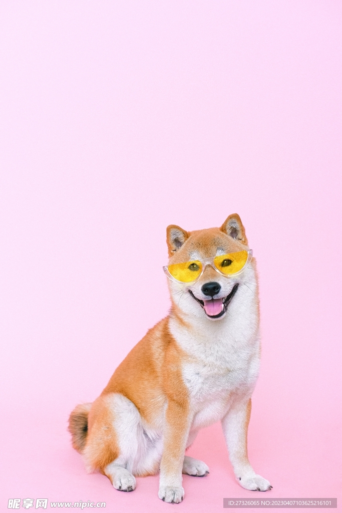 狗 