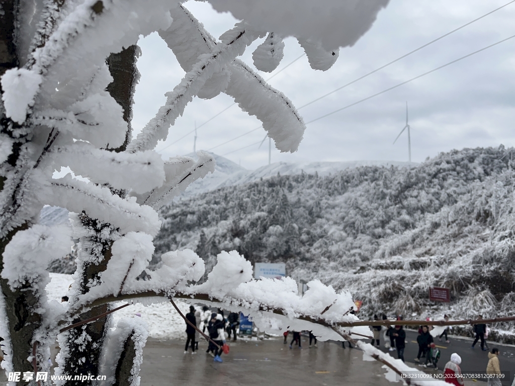 白雪