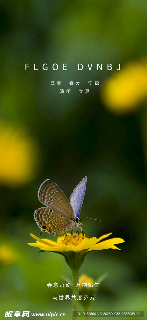 惊蛰