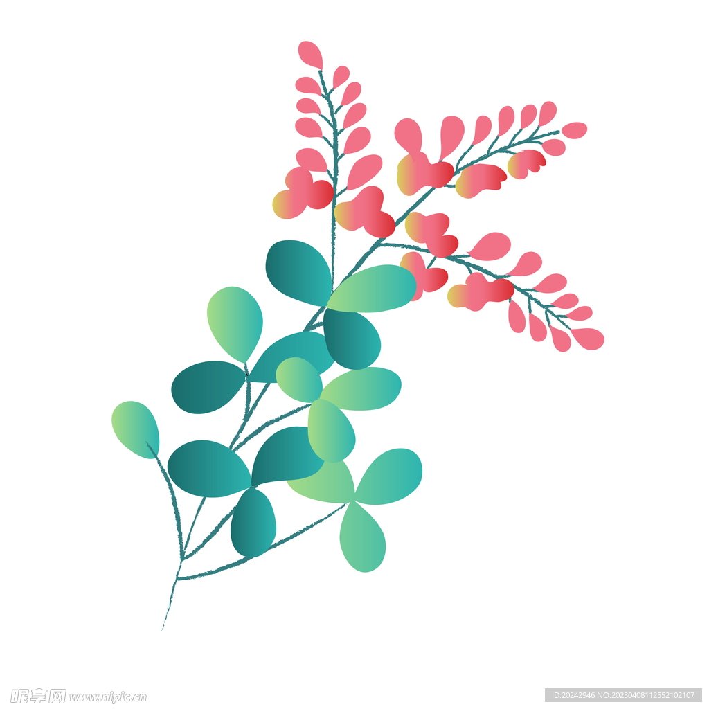 开花植物