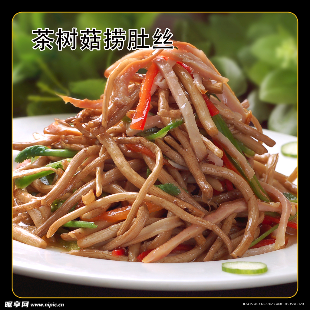 茶树菇捞肚丝
