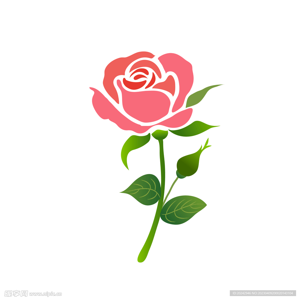 玫瑰花
