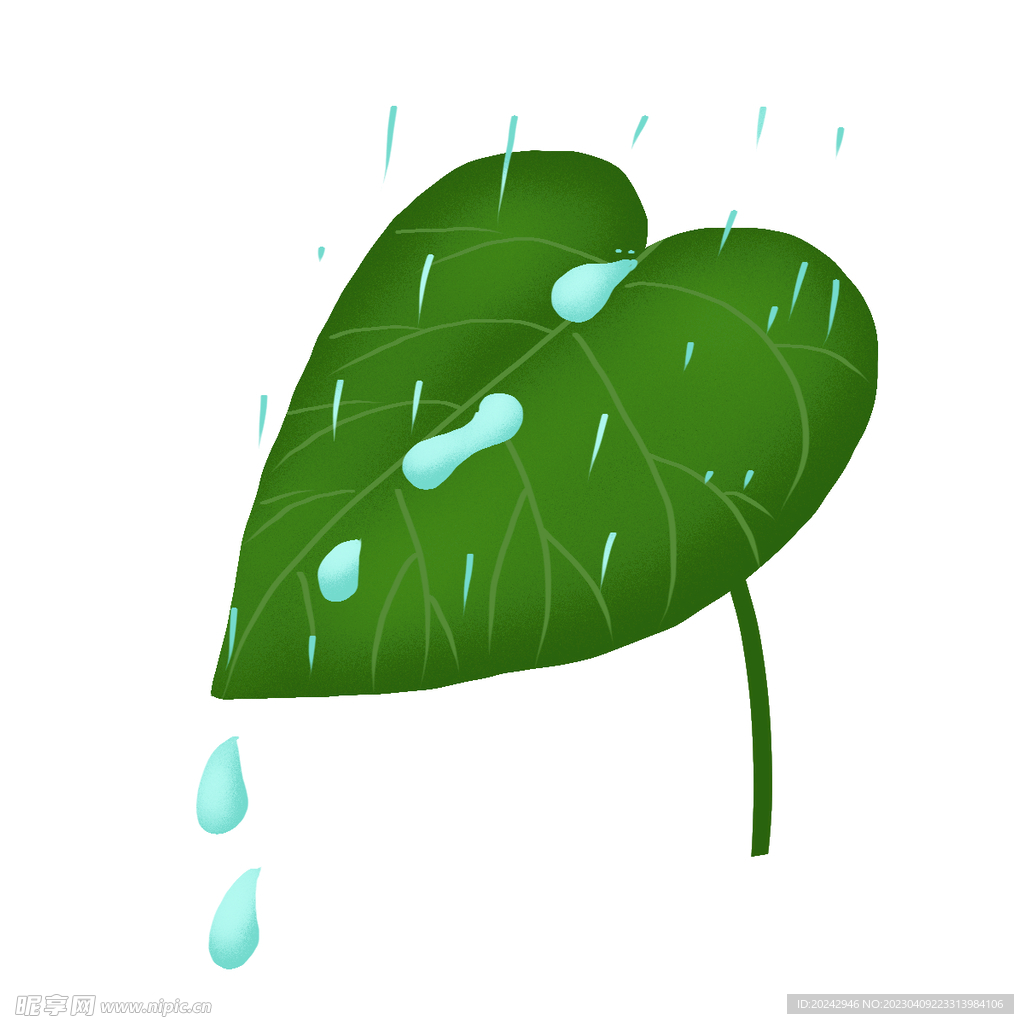 叶子雨水