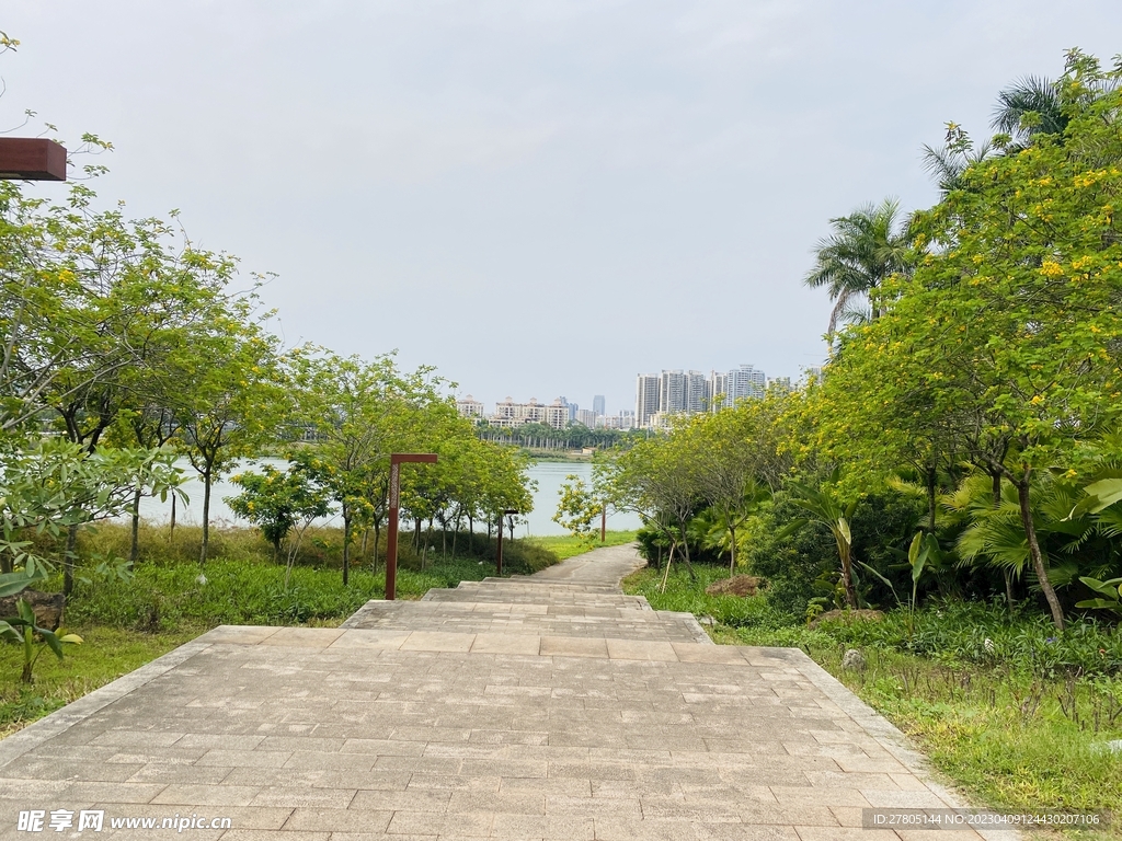 走道风景