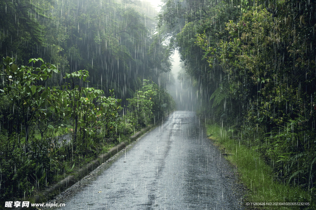 雨中道路