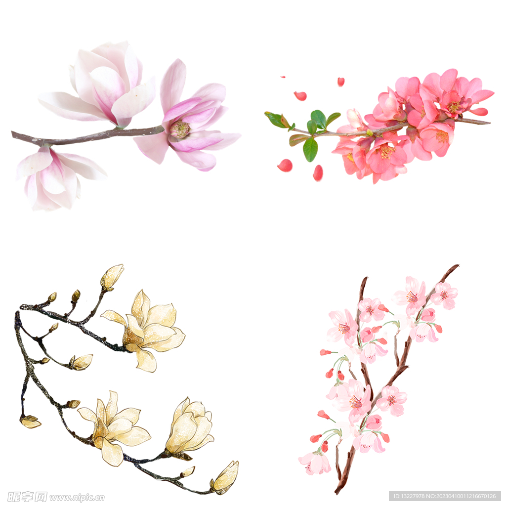 桃花