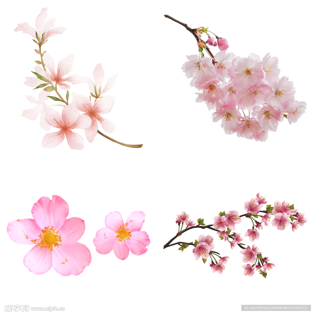 桃花