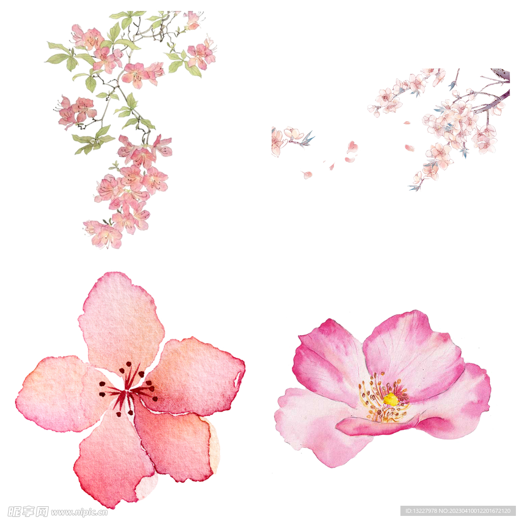 桃花 