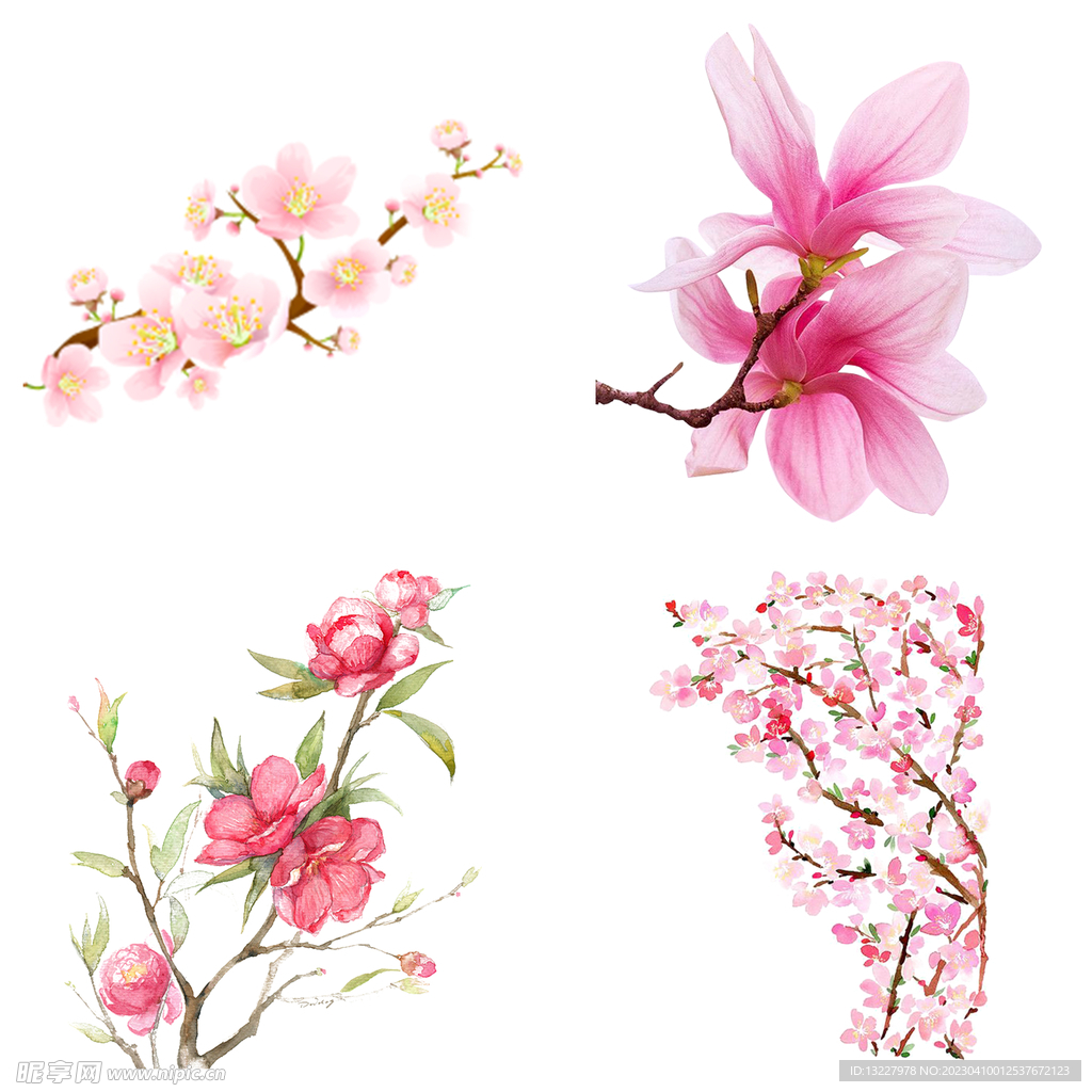 桃花