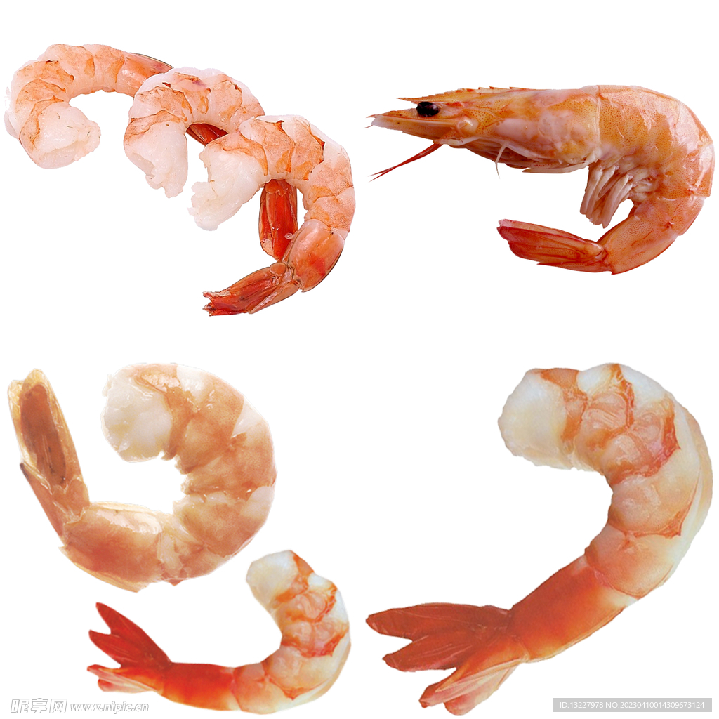 虾 