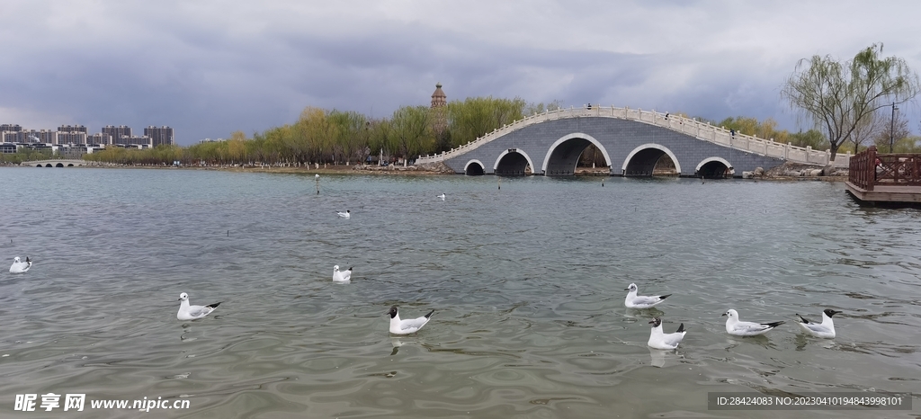 湖 鸟   桥  