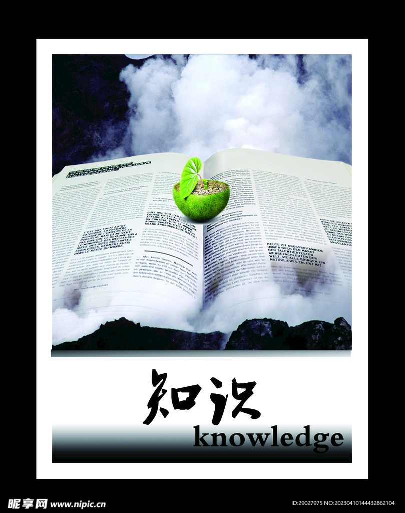 公司文化
